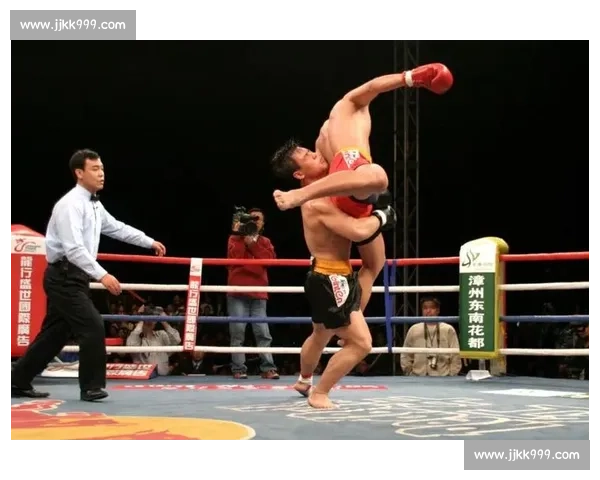 柳海龙散打比赛精彩对决视频展示技巧与力量震撼全场